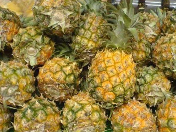 temperature-and-humidity-monitoring-for-pineapple1.jpg