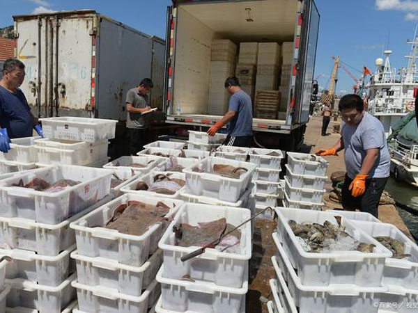 Wie Zeit-Temperatur-Indikatoren Meeresfrüchte während des Transports schützen
