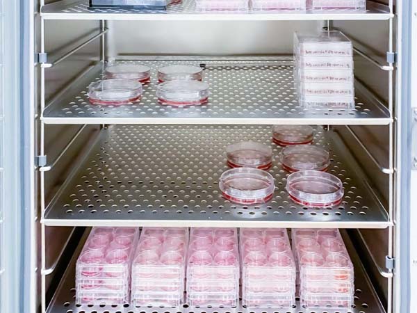 4G-Temperatur- und Feuchtigkeits-Datenlogger für die zuverlässige Überwachung von Laborinkubatoren