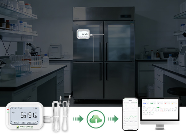 wifi-vs-4g-real-time-temperature-data-logger-which-solution-is-best-for-your-facility1.jpg